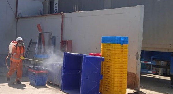 Fumigación/ Desinsectación : Químicas y Orgánicas